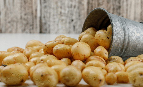 Potatoes -1 KG
