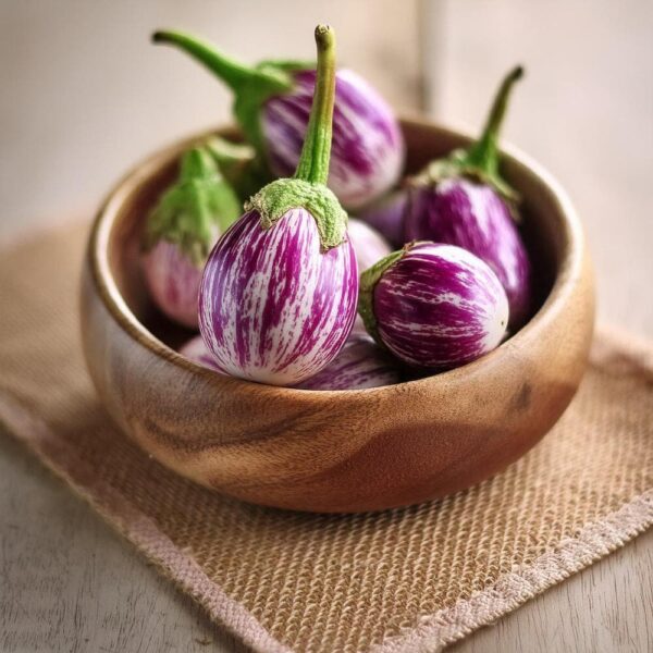Indian Violet Brinjal