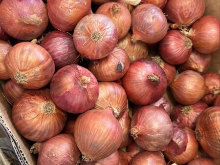 Indian Red Pink Onions 500g