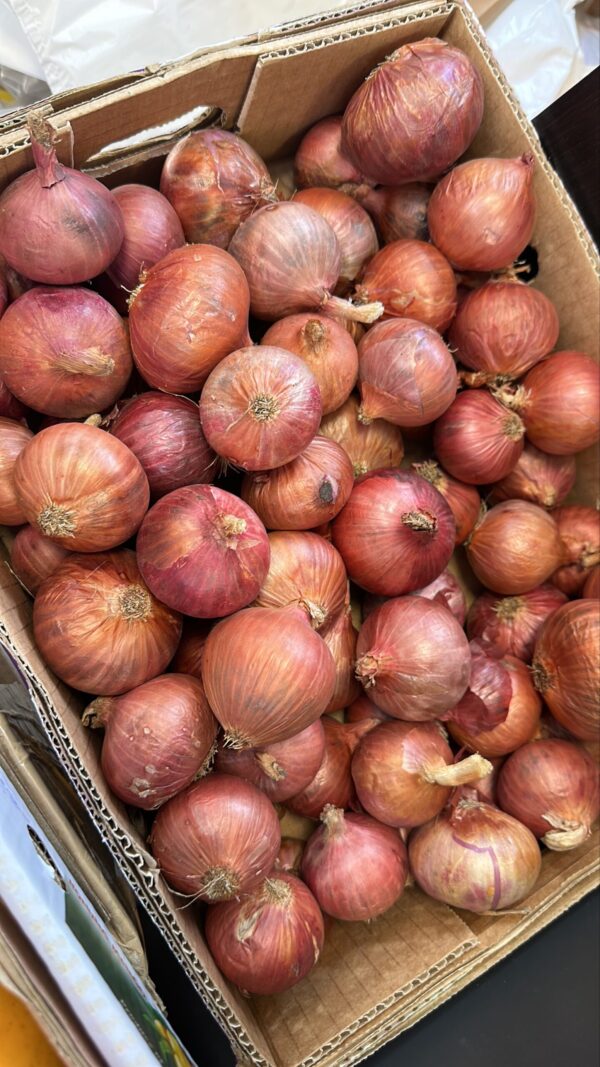 Indian Red Pink Onions 500g