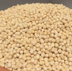 Imantra urid Gota 2kg