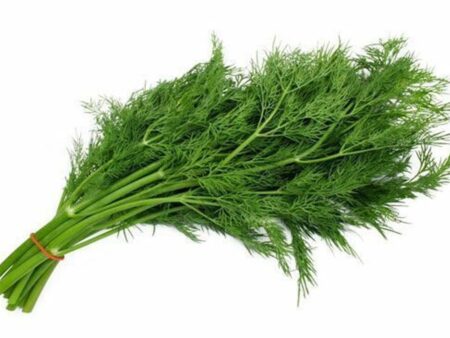 Dil leaves Fresh