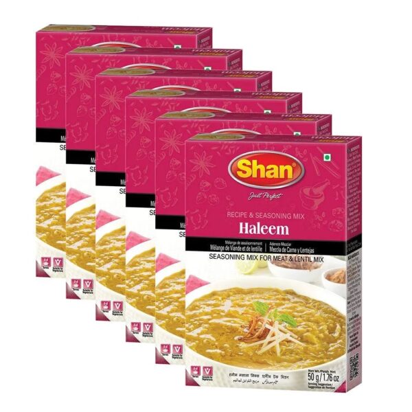 Shan Haleem Masala 50 g
