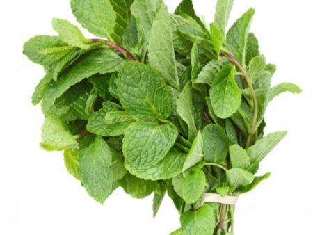 Mint
