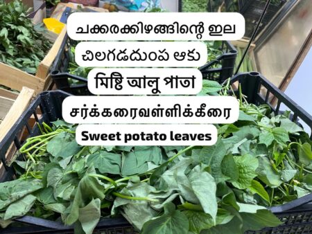 Sweet potato leaves 450g- to 500 g