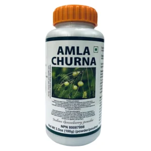 Patanjali Amla Churna 100g