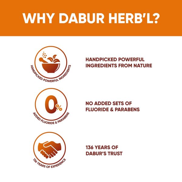 Dabur Herbel Clove 200g Cavity Protection Toothpaste - Image 3