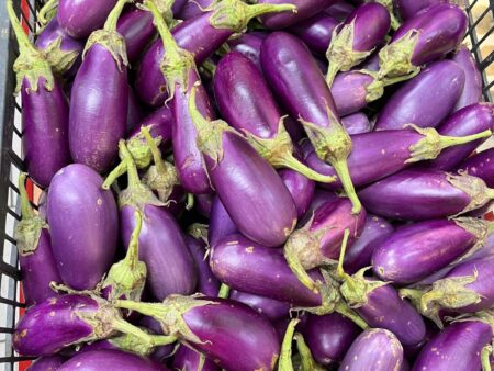 Medium long brinjal 500g