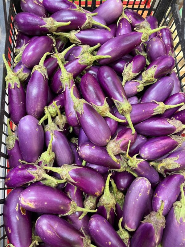 Medium long brinjal 500g