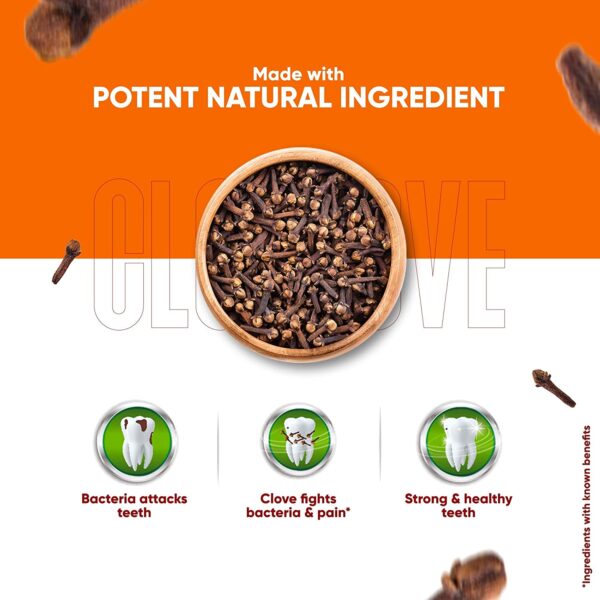 Dabur Herbel Clove 200g Cavity Protection Toothpaste - Image 2