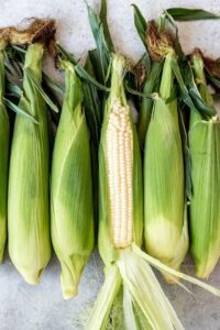 Corn cob 1 piece