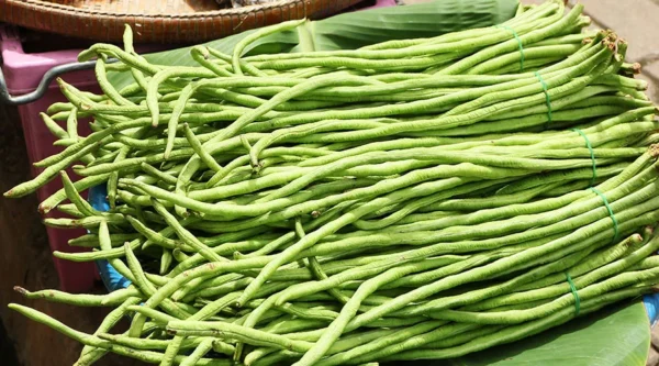 Long Chawli beans 450 g to 500 g