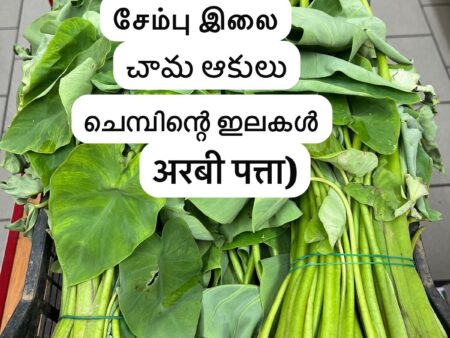 Arbi patta 500 g