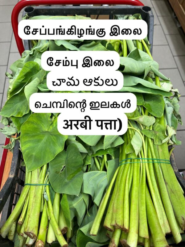 Arbi patta 500 g