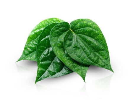 Fresh Betel Leaves | Paan Leaves (5 Pieces)