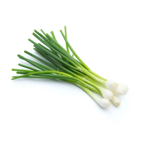 Spring onion bunch