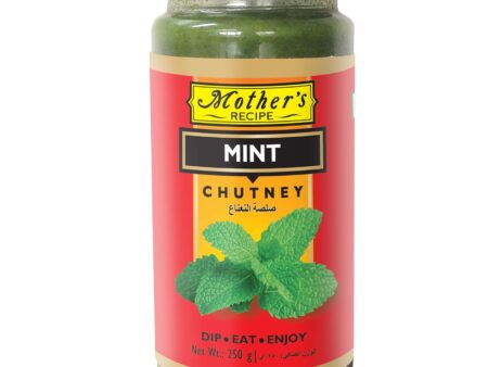 Mother's Recipe - Mint Chutney (250 g)