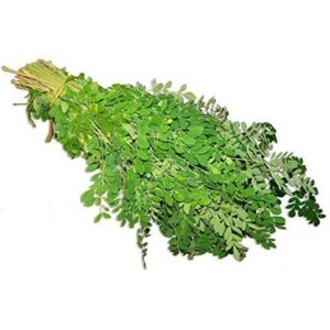 Drumstick Leaf 1 Bunch MORINGA