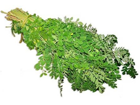 Drumstick Leaf 1 Bunch MORINGA