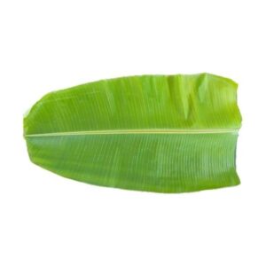 Fresh Banana Leaves (1 piece)