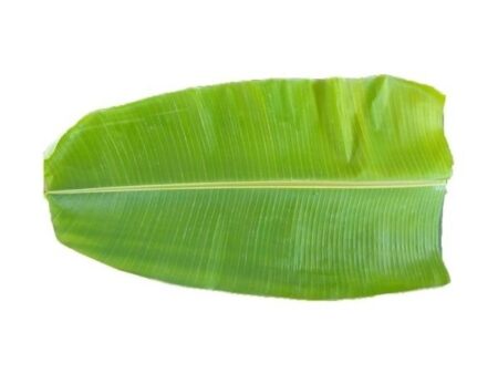 Fresh Banana Leaves (1 piece)