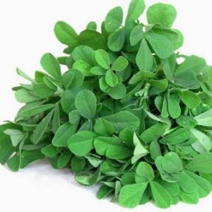Fresh methi bunch
