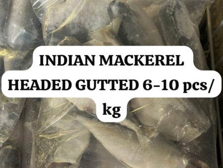 Indian mackerel 6-10 pcs